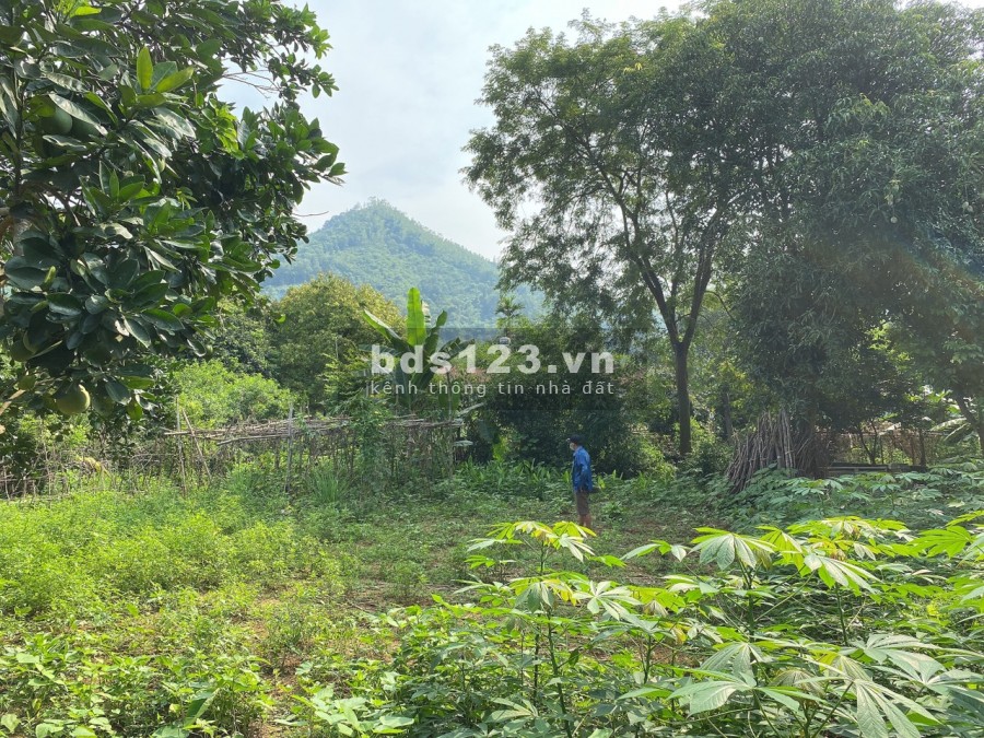 Bán lô đất thị trấn lương sơn giá đầu tư