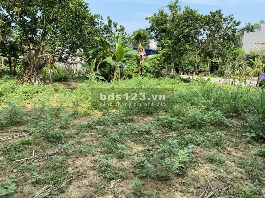 Bán lô đất thị trấn lương sơn giá đầu tư