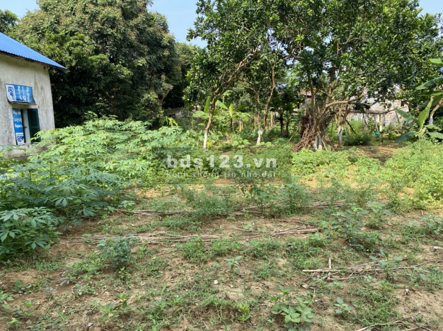 Bán lô đất thị trấn lương sơn giá đầu tư