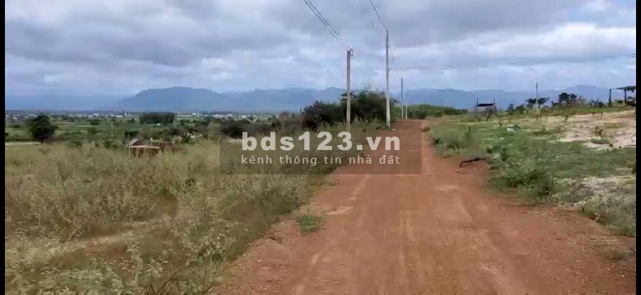 Bán đất nông nghiệp Bình Tân cách công viên safari 4km cách liên huyện 70m giá ưu đãi Lh 0938677909