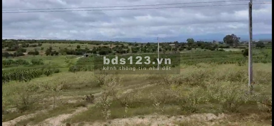Bán đất nông nghiệp Bình Tân cách công viên safari 4km cách liên huyện 70m giá ưu đãi Lh 0938677909