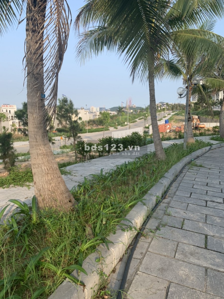 Chính chủ cần bán 119m đất đồi Ban Mai giá rẻ nhất