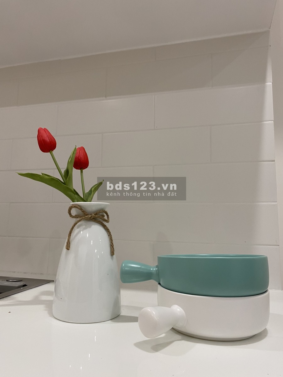 Căn hộ Vinhomes Grand Park Quận 9 cho thuê căn hộ 59m2, 2 pn, 1 wc