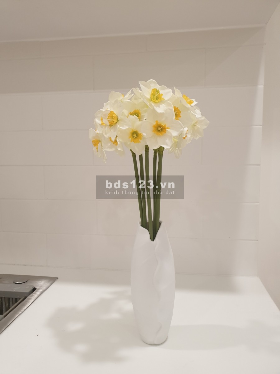 Căn hộ Vinhomes Grand Park Quận 9 cho thuê căn hộ 59m2, 2 pn, 1 wc