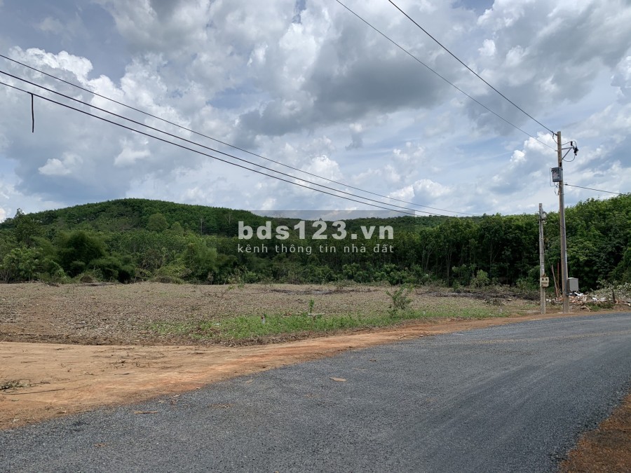 Đất sổ sẵn 1000m2, công chứng trong ngày, Khu công nghiệp tại Bình Phước