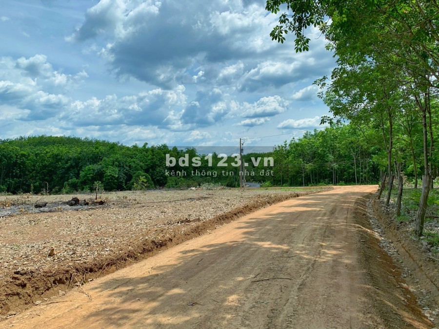 Đất sổ sẵn 1000m2, công chứng trong ngày, Khu công nghiệp tại Bình Phước