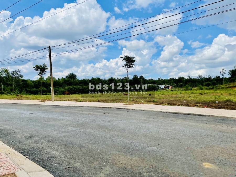 Ngộp ngân hàng cần bán 340m2 đất ODT cạnh hồ Nhà Bè