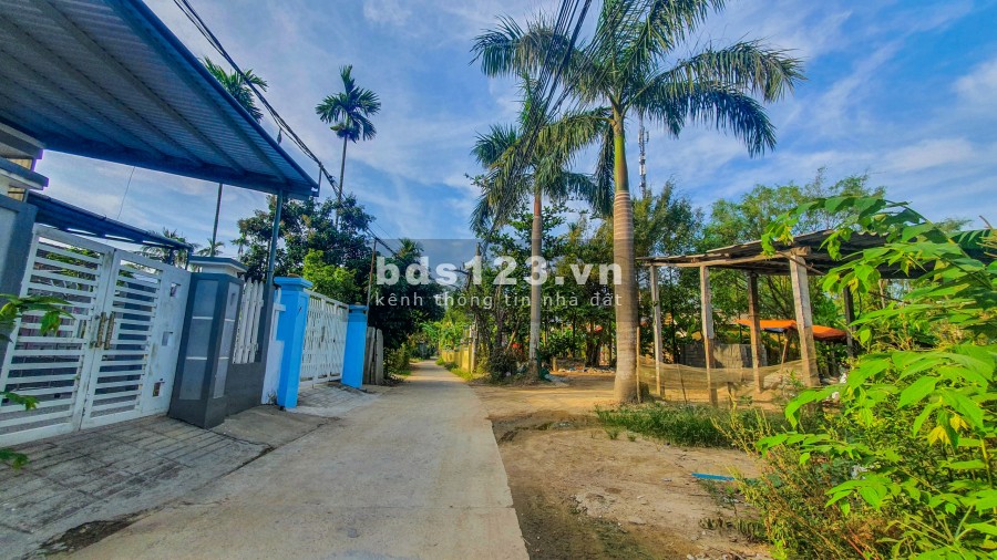 SIÊU PHẨM KIỆT Ô TÔ CONTAINER NGUYỄN KHOA VĂN - CHỈ SAU LƯNG NHÀ MẶT TIỀN - Giá 9xx triệu
