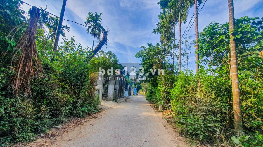 Đất Đẹp Sau Lưng Kđt Roral Park - Tương Lai Mặt Tiền Đường 100m