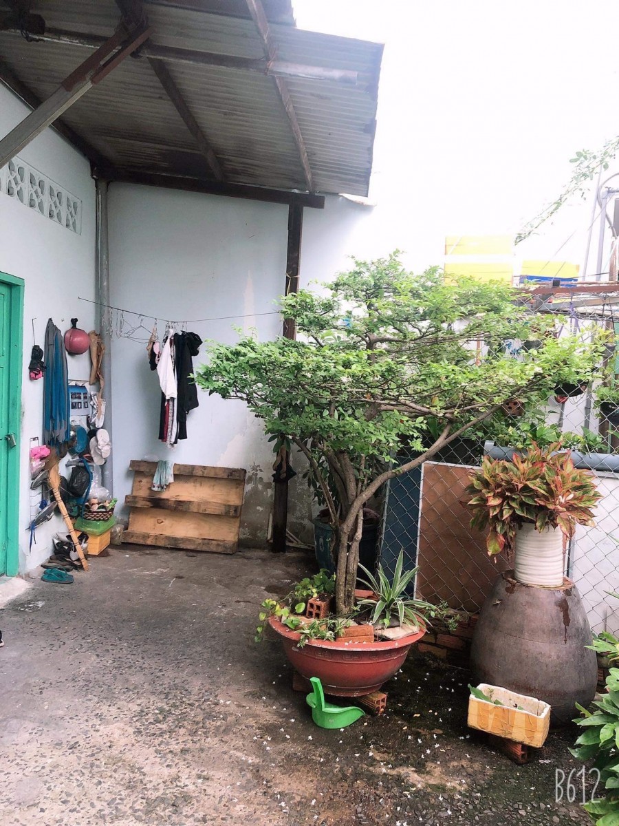 Bán nhà Trần Văn Quang, 10x10, giá rẻ, hẻm xe tải vô tận nhà