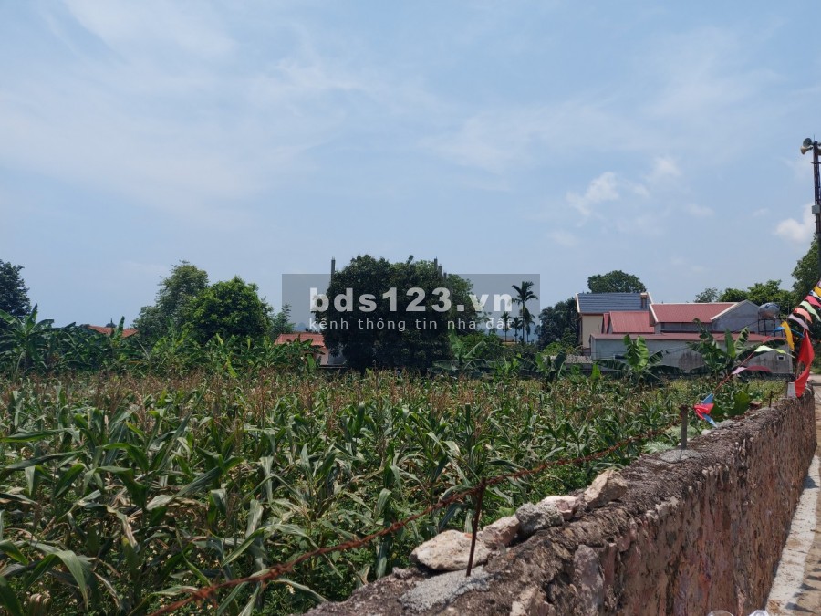 Bán 522m/300m đất ở lâu dài tại thô Đông Nam, Nam Phương Tiến, view Hồ Văn Sơn thoáng, cách Hồ Văn Sơn 100m