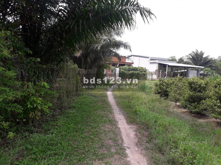Đất khu công nghiệp Phước Đông Trảng Bàng, dt 318m2, giá 2.1 triệu/m2