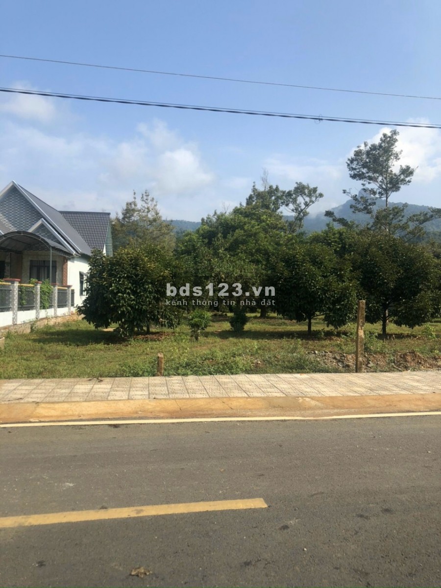 Chồng chạy tiền bán gấp đất trung tâm giá rẻ TP Bảo Lộc, giá thoả thuận