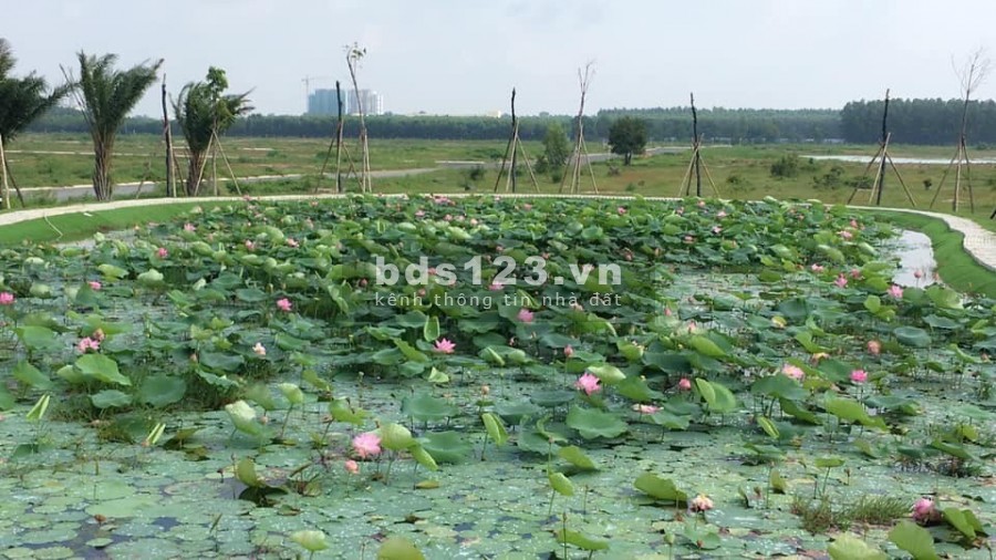 Bán đất mặt tiền 25c mega city 2, tại Phú Hội, Nhơn Trạch, Đồng Nai, lh 0931534422