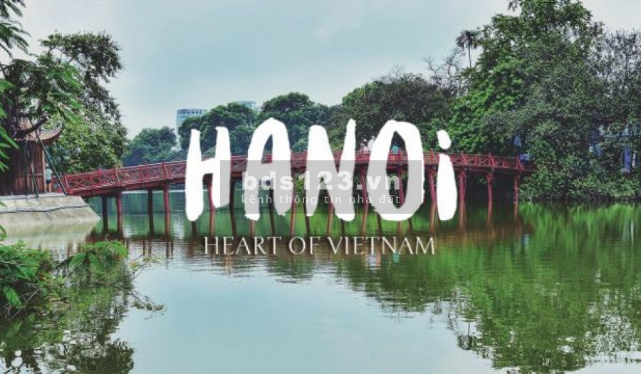 Khu phân lô Vip ngõ Tôn Thất Tùng – DT50m2, 4.5T, MT3.9, GIÁ 6.15 tỷ