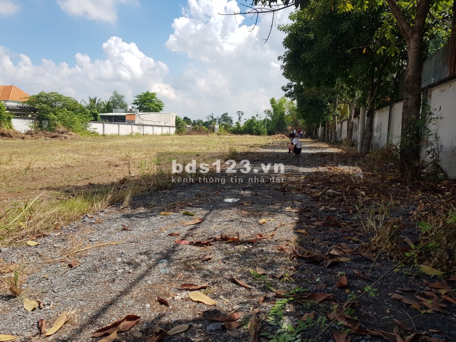Đất thổ cư đường Đoàn Nguyễn Tuấn gần Hương Lộ 11 Bình Chánh gần chợ bình chánh