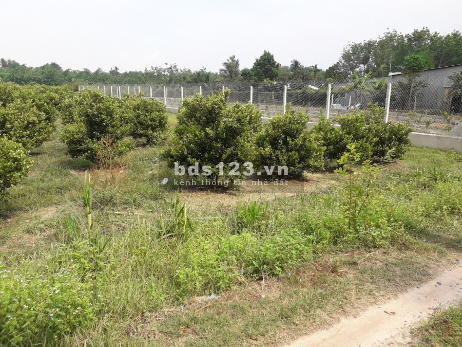 Đất khu công nghiệp Phước Đông Trảng Bàng, dt 318m2, giá 2.1 triệu/m2