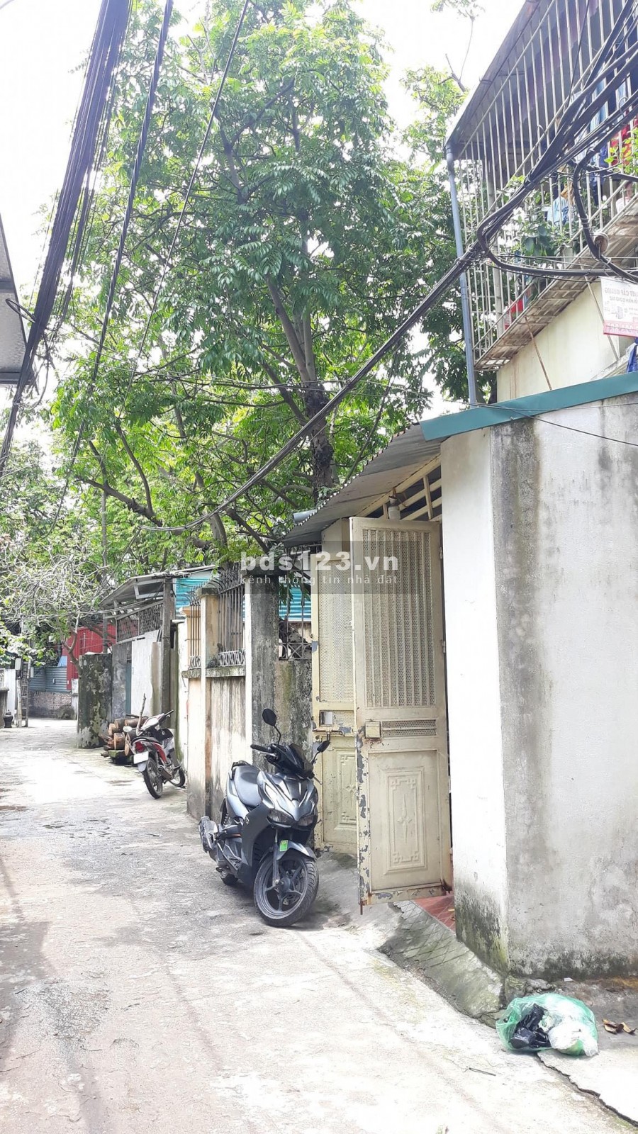Bán đất phố Vũ Xuân Thiều 50m, mt 4m, ngõ 2m thông cách phố 30m