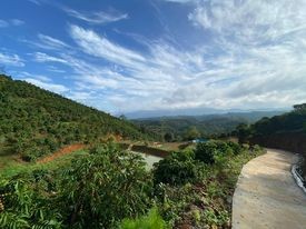 Cần bán lô đất view săn mây một không hai thành phố Bảo Lộc