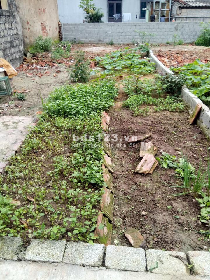 Bán lô đất giá rẻ công nhân tại Yên Mỹ Hưng Yên