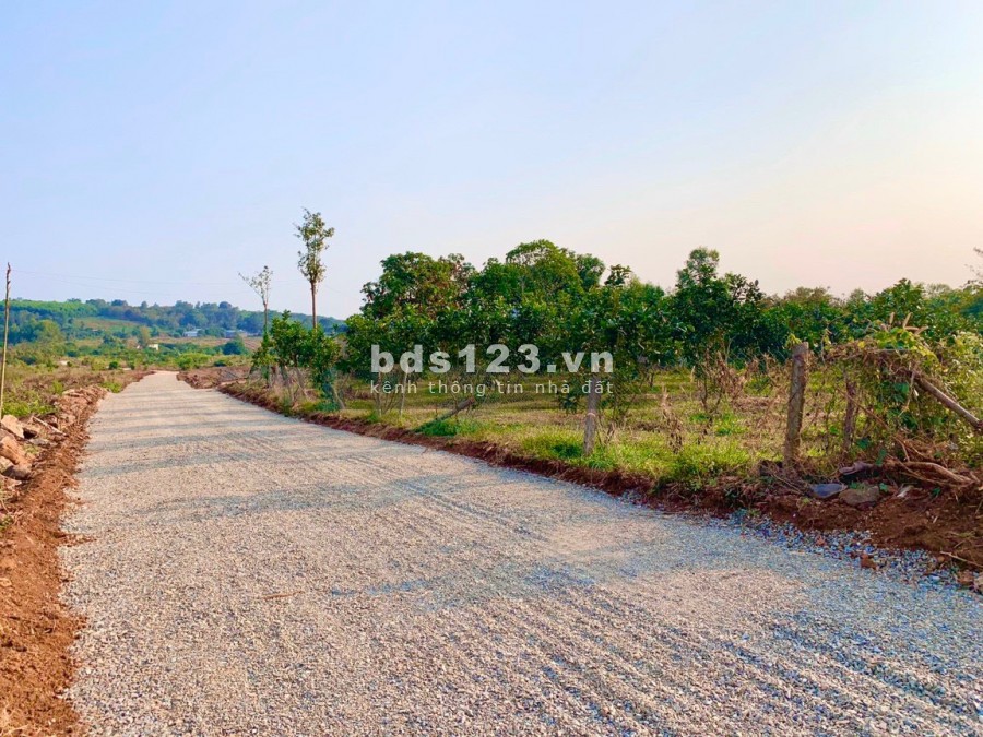 Đất sào đẹp, giá đầu tư 2000M2 đất (30X67) mặt tiền đường nhựa, SHR