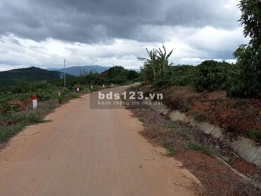Lô đất 40m2, view cao 800m Tân Hà chỉ 600 triệu, đường vào 4m