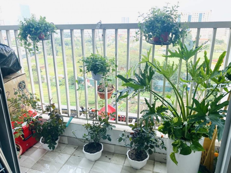Chính chủ cần bán căn hộ 111,9m2 Ecolife Capitol 58 Tố Hữu, Nam Từ Liêm, Hà Nội ngay gần ngã 4 Tố Hữu giao Khuất Duy Tiến