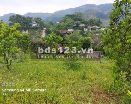 BÁN 3112m2 TẠI CAO PHONG- HOÀ BÌNH GIÁ CỰC RẺ