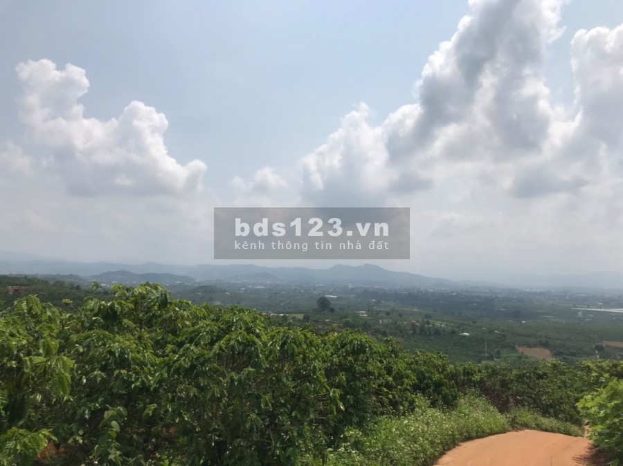 Lô đất 40m2, view cao 800m Tân Hà chỉ 600 triệu, đường vào 4m