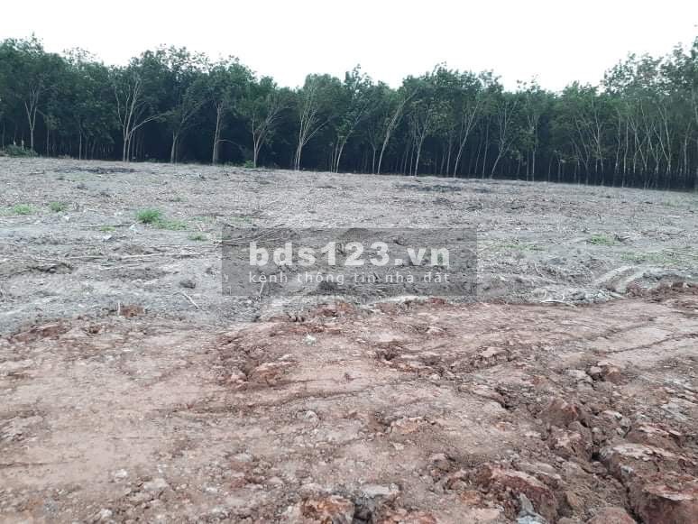 Đất nền đầu tư giá rẻ gần khu công nghiệp