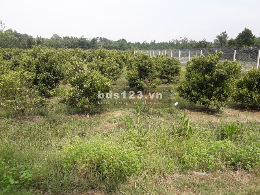 Đất khu công nghiệp Phước Đông Trảng Bàng, dt 318m2, giá 2.1 triệu/m2