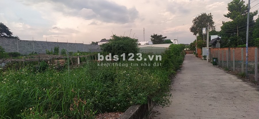 Đất Trần Bình Trọng, diện tích 130m2, thổ cư 80m2, đường bê tông 5m