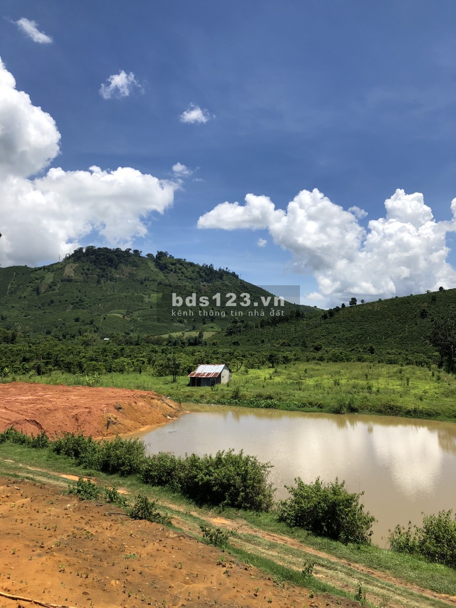 Bán Đất Vườn Chính Chủ 1ha2 Xã ĐạK Nàng Huyện Đam Rông - Giá 2.5 tỷ
