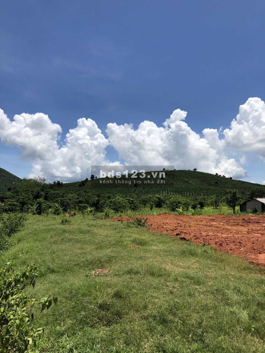 Bán Đất Vườn Chính Chủ 1ha2 Xã ĐạK Nàng Huyện Đam Rông - Giá 2.5 tỷ