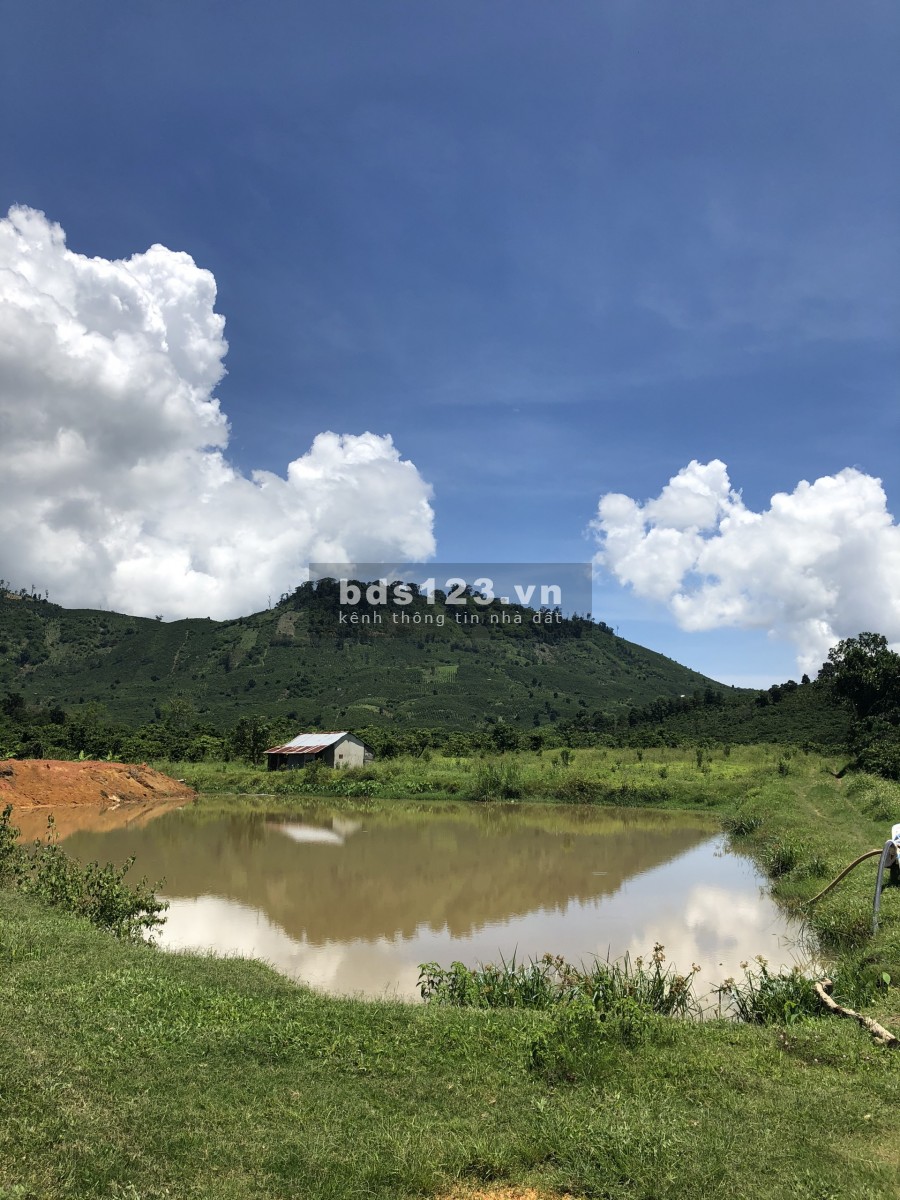 Bán Đất Vườn Chính Chủ 1ha2 Xã ĐạK Nàng Huyện Đam Rông - Giá 2.5 tỷ