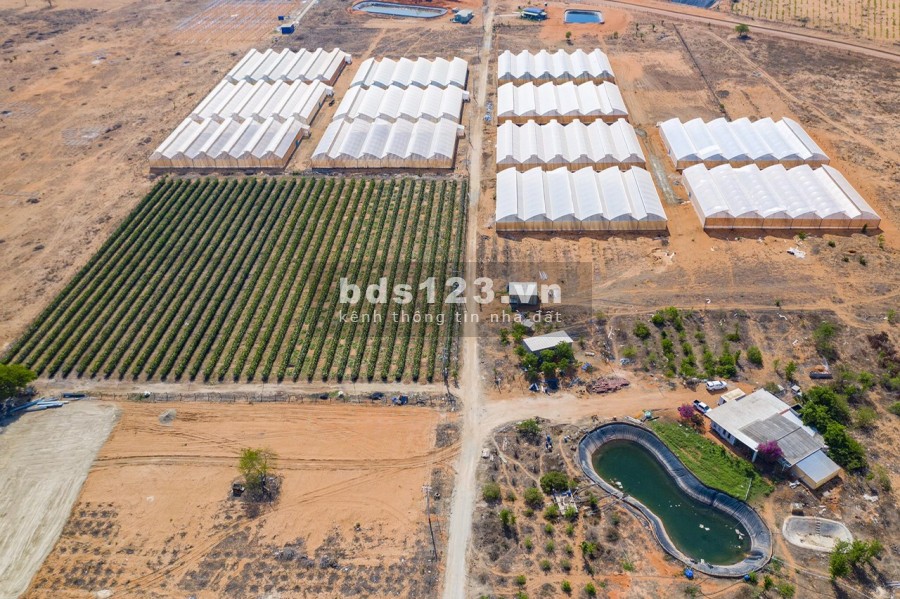 Chủ gửi bán gấp 1.2 ha đất nông nghiệp sát mặt tiền ĐT 716, 7p tới biển Hòa Thắng