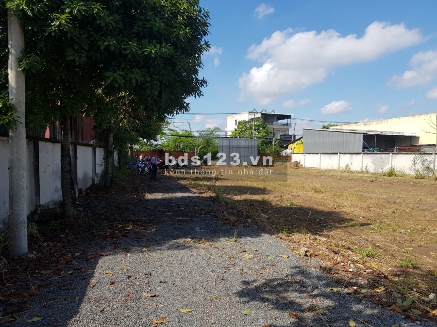 Đất thổ cư đường Đoàn Nguyễn Tuấn gần Hương Lộ 11 Bình Chánh gần chợ bình chánh