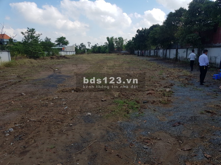 Đất thổ cư đường Đoàn Nguyễn Tuấn gần Hương Lộ 11 Bình Chánh gần chợ bình chánh