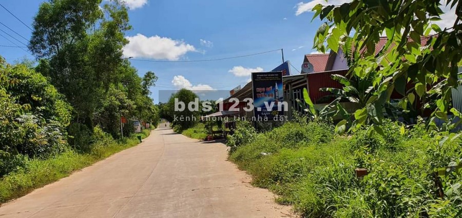 1,3ha Xóm Mới - Bãi Thơm Giá Đầu Tư