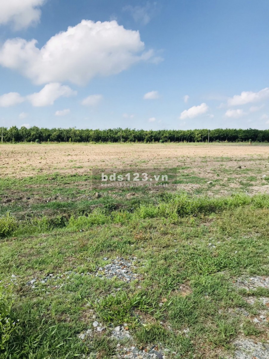 Đất đẹp dự án mới của tương lai (5x43) CHơn Thành Binh phước