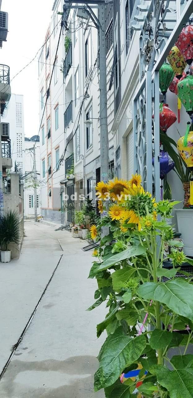 Trót hứa mua nhà tặng 2 cô bồ nên chủ đành bán rẻ lô đất để chiều lòng người yêu
