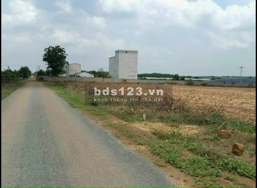 Chính chủ cần tiền bán gấp 1000m2 đất Chơn Thành. Sổ hồng riêng Gía chỉ 400tr