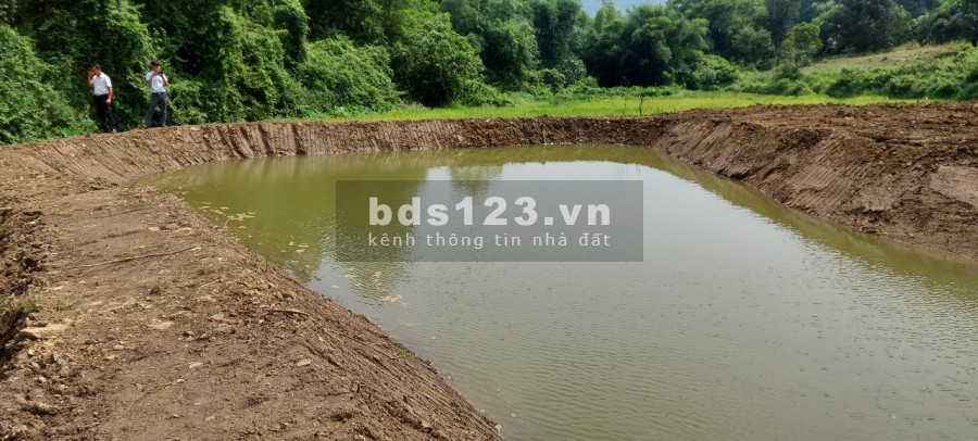 Bán lô đất 5000m2, bất động sản nghĩ dường Hoà Bình, giao dịch chính chủ