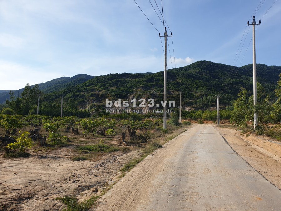 Bán 1,4 hecta đất tại xã cát nhơn, Phù Cát, Bình Định. Giá 1,2 tỉ