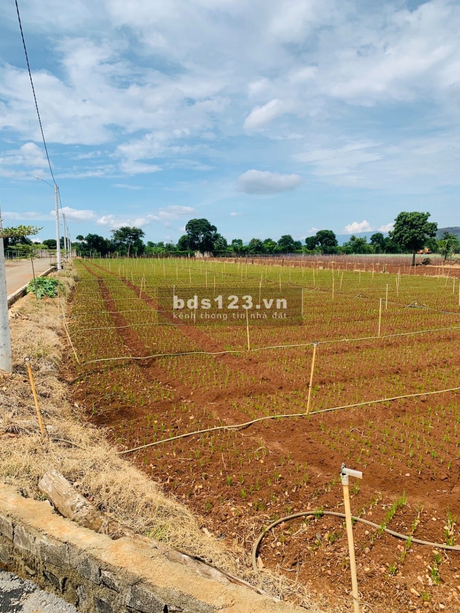 550 triệu có ngay lô đất 450m2, Nam Hà cách thị trấn Nam Ban 3km, đường bê tông