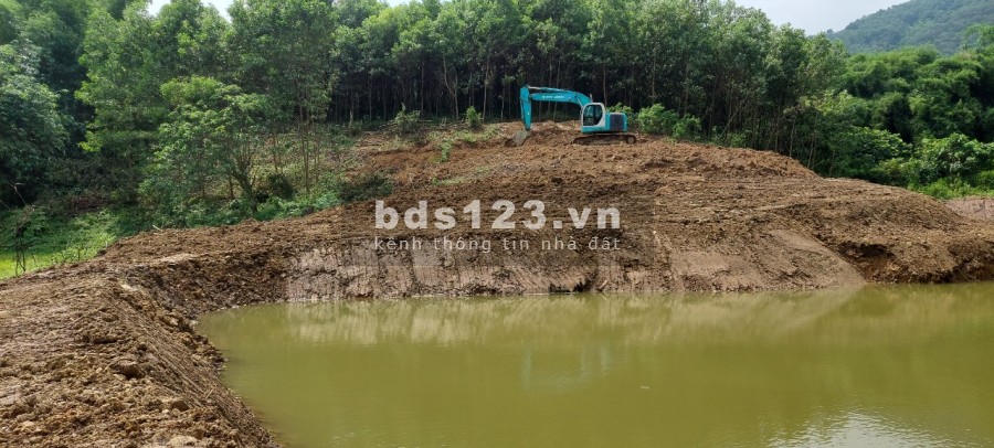 Bán lô đất 5000m2, bất động sản nghĩ dường Hoà Bình, giao dịch chính chủ