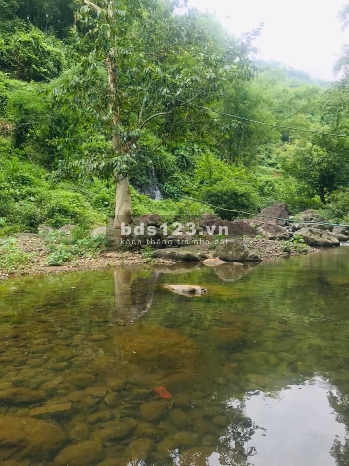 Bán nhanh 230m2, full thổ cư bám suối tại Kim Bôi Hoà Bình, ô tô vào tận đất