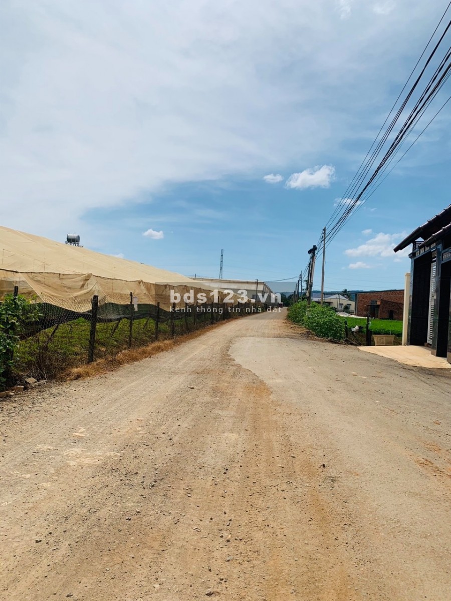 550 triệu có ngay lô đất 450m2, Nam Hà cách thị trấn Nam Ban 3km, đường bê tông
