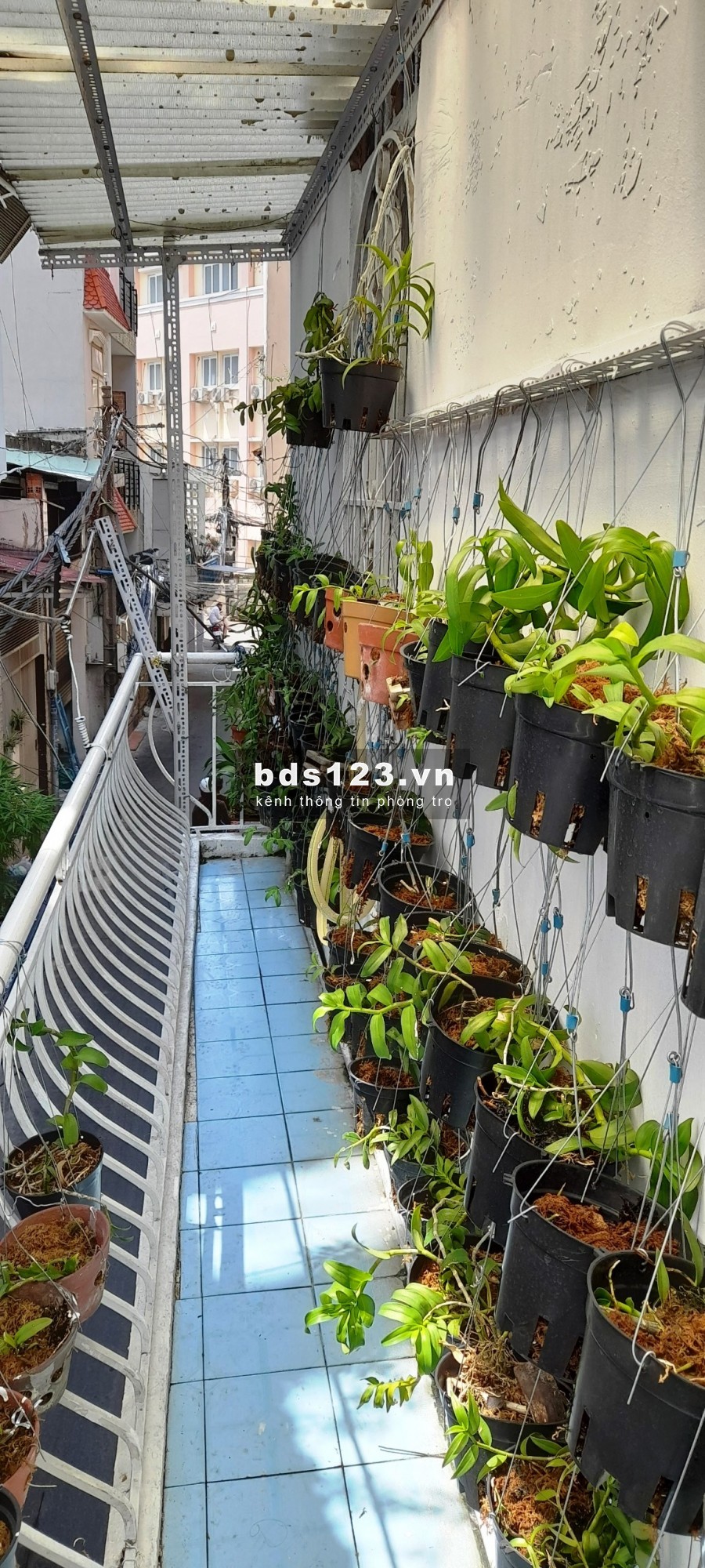 Chỉ 1.99 triệu 1 tháng, ngay quận 1, giá siêu rẻ