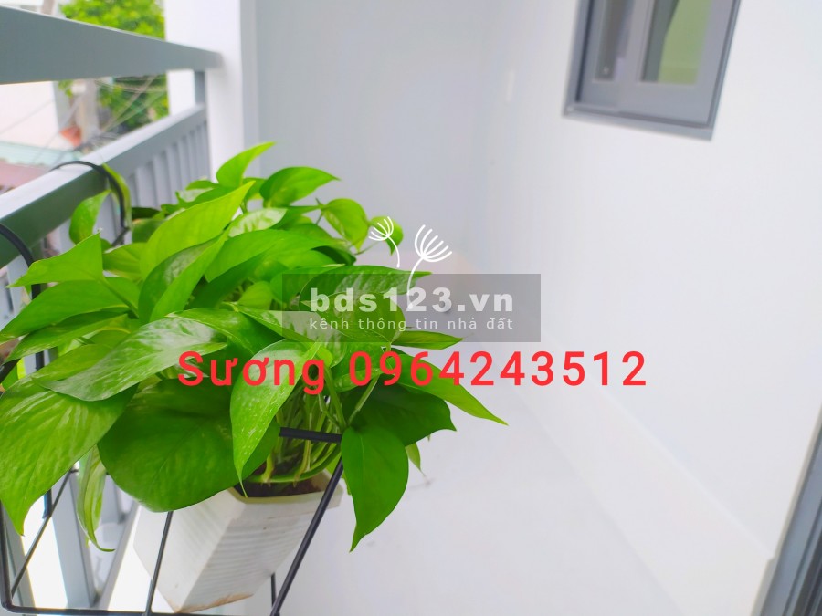 Cho thuê căn hộ cao cấp y hình ở mặt tiền đường Cống Lở Tân Bình
